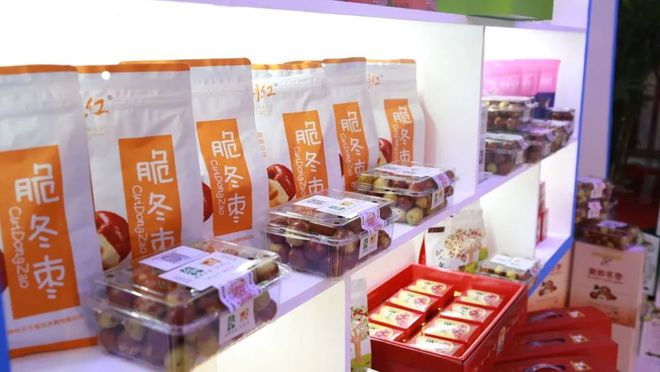 黃驊市在投資咨詢大會簽約18.8億元項目，產業升級與區域發展再添強勁動力